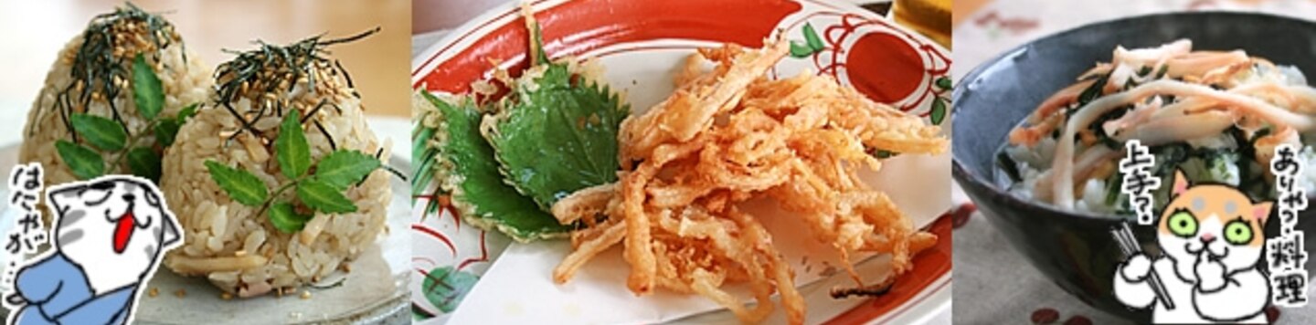 楽天出店店舗:ぞっこんイカ本舗